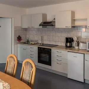 Hundemüde In Dresden