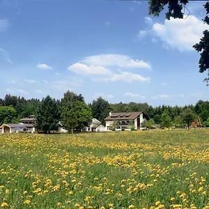 Wald- Und Tagungshotel Gelaender Hotel